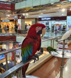 Centaurus Mall