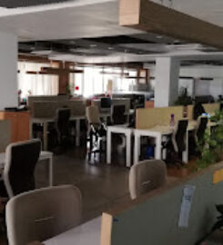 Knowledge Platform