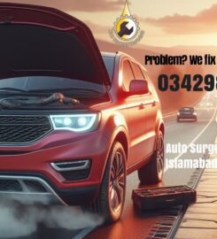 Auto Surgeon Workshop