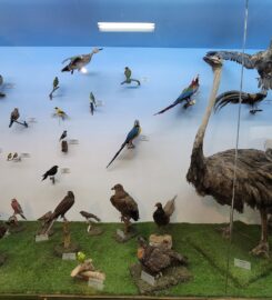 Pakistan Museum of Natural History (PMNH)