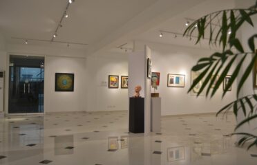 Gallery 6