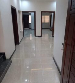 Akbar Groups Real Estate And Builders