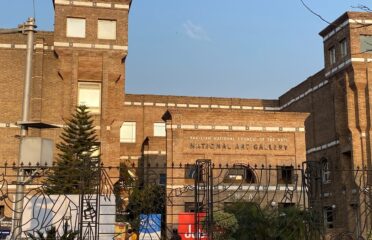 Pakistan National Council of the Arts (PNCA)