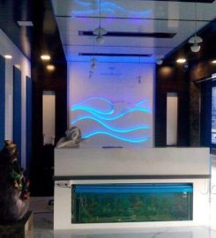 Lush Life Spa & Salon