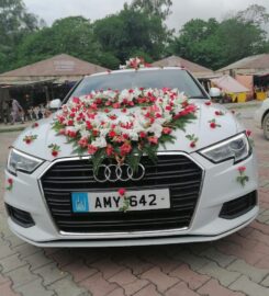 Mian Travel and Tours