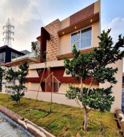 Win Win Marketing & Developers