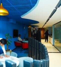 Win Win Marketing & Developers